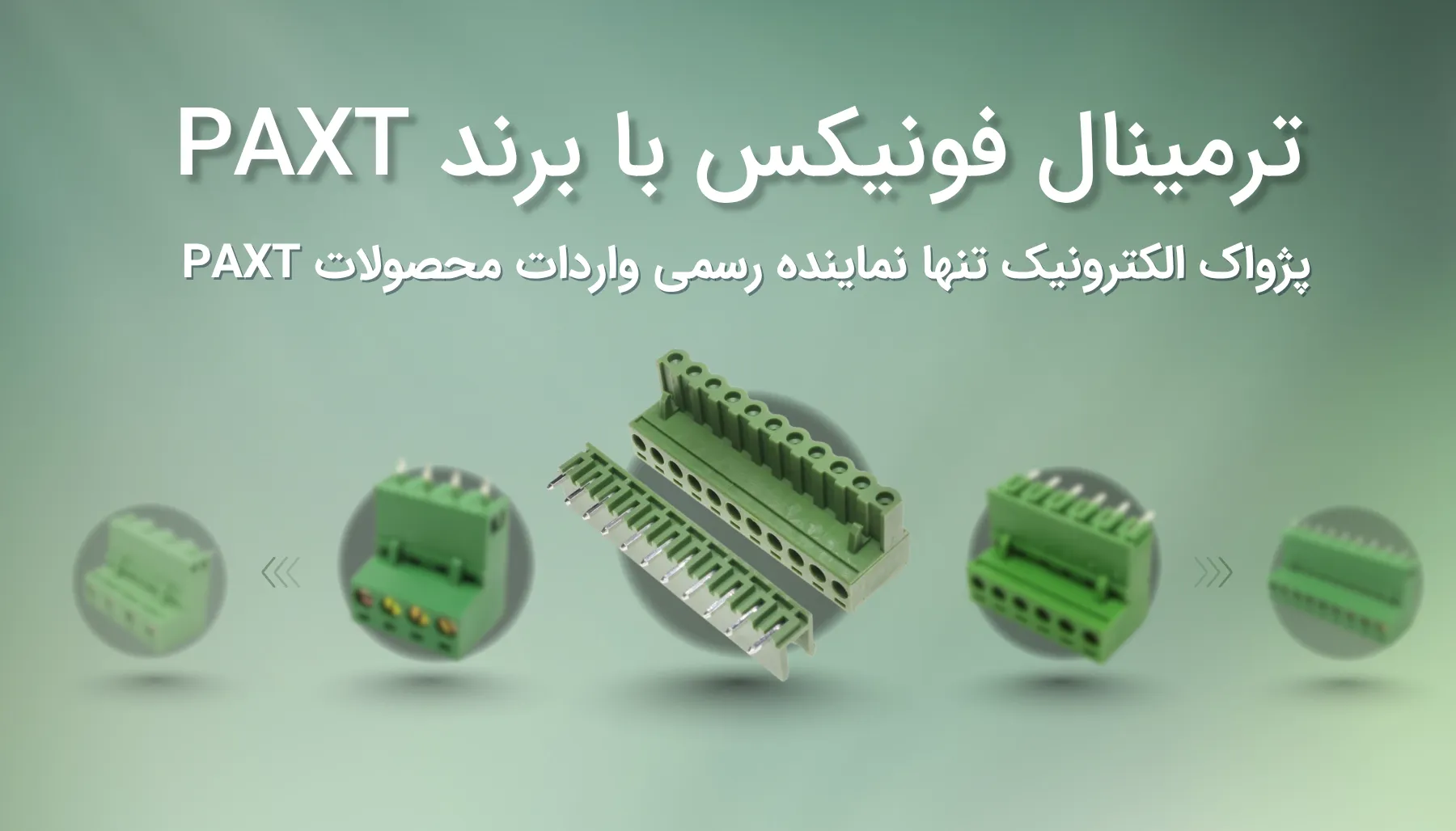 ترمینال فونیکس با برند PAXT